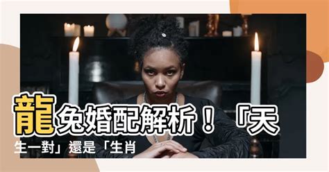 龍與兔|【龍與兔】龍兔愛情大哉問：天生相合還是互斥六沖？